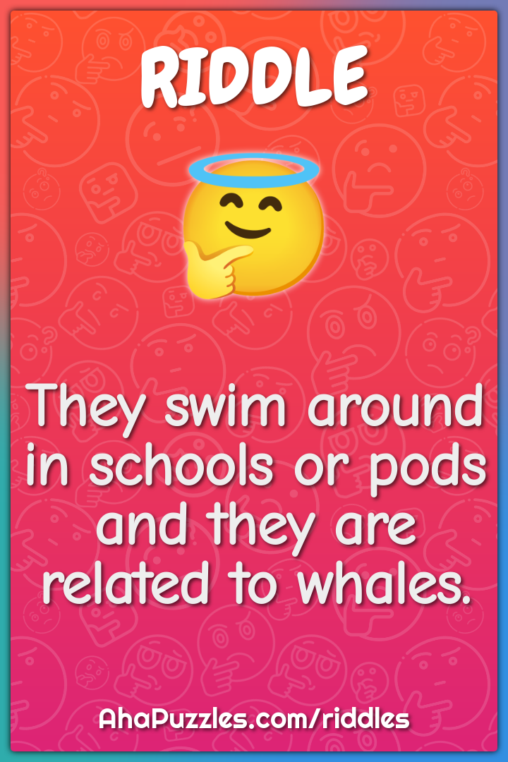 They swim around in schools or pods and they are related to whales.