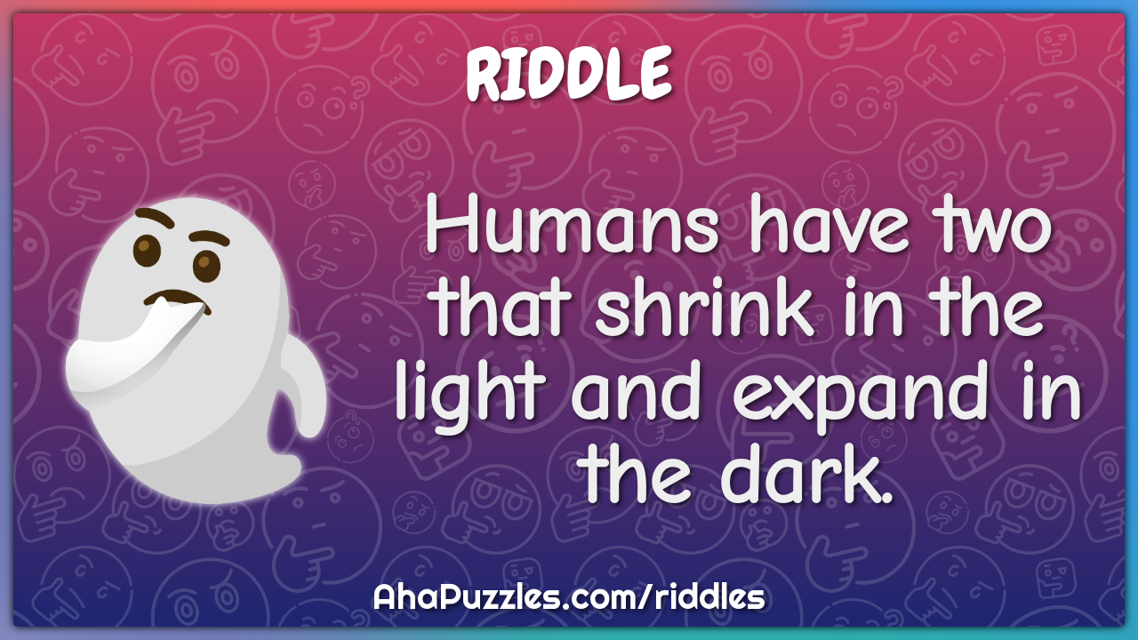 Humans have two that shrink in the light and expand in the dark.