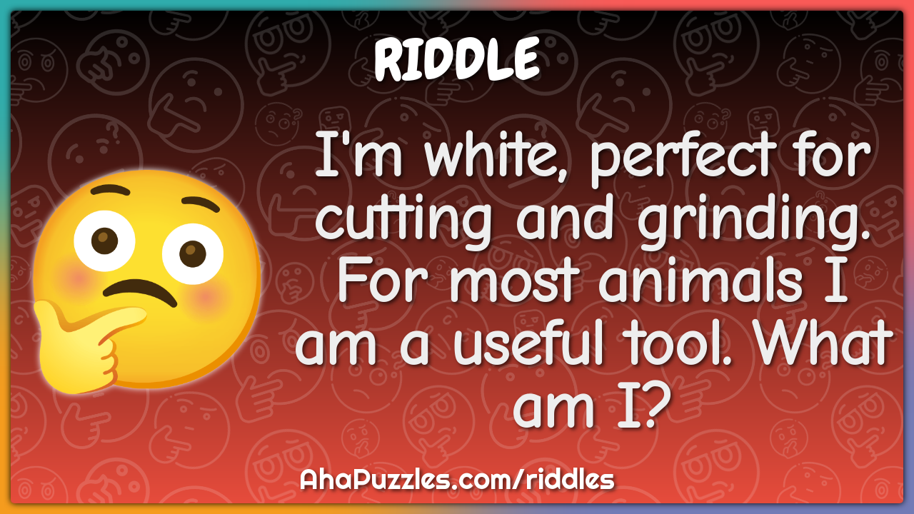 I'm white, perfect for cutting and grinding. For most animals I am a...