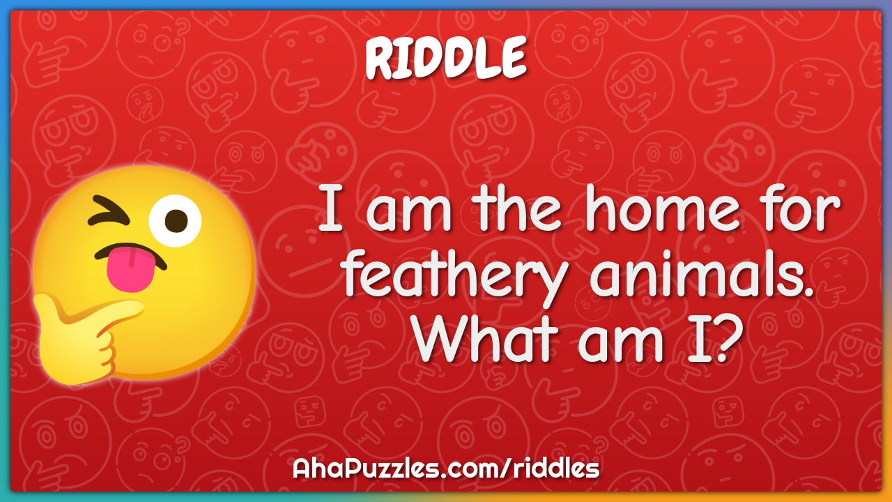 I am the home for feathery animals. What am I?