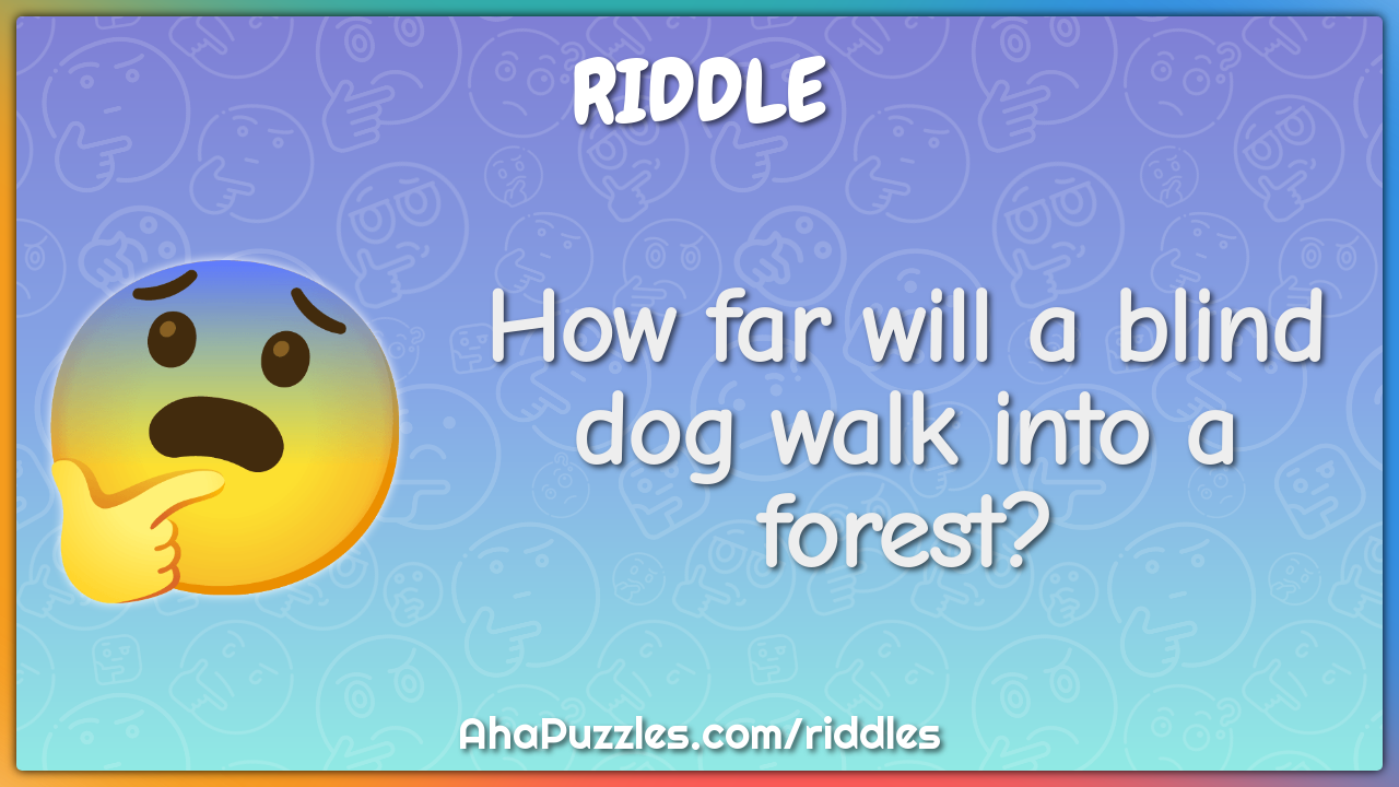 How far will a blind dog walk into a forest?