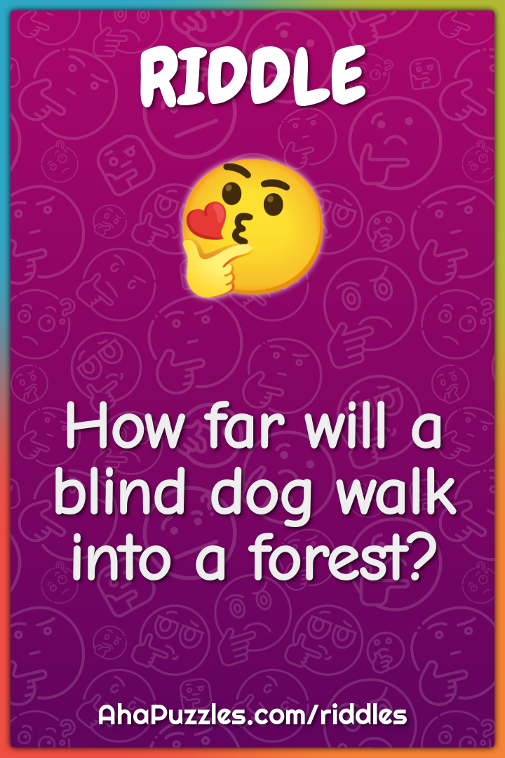 How far will a blind dog walk into a forest?