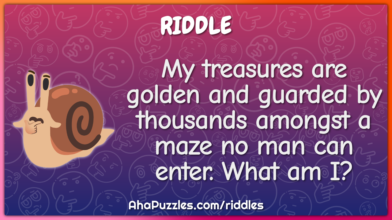 My treasures are golden and guarded by thousands amongst a maze no man...