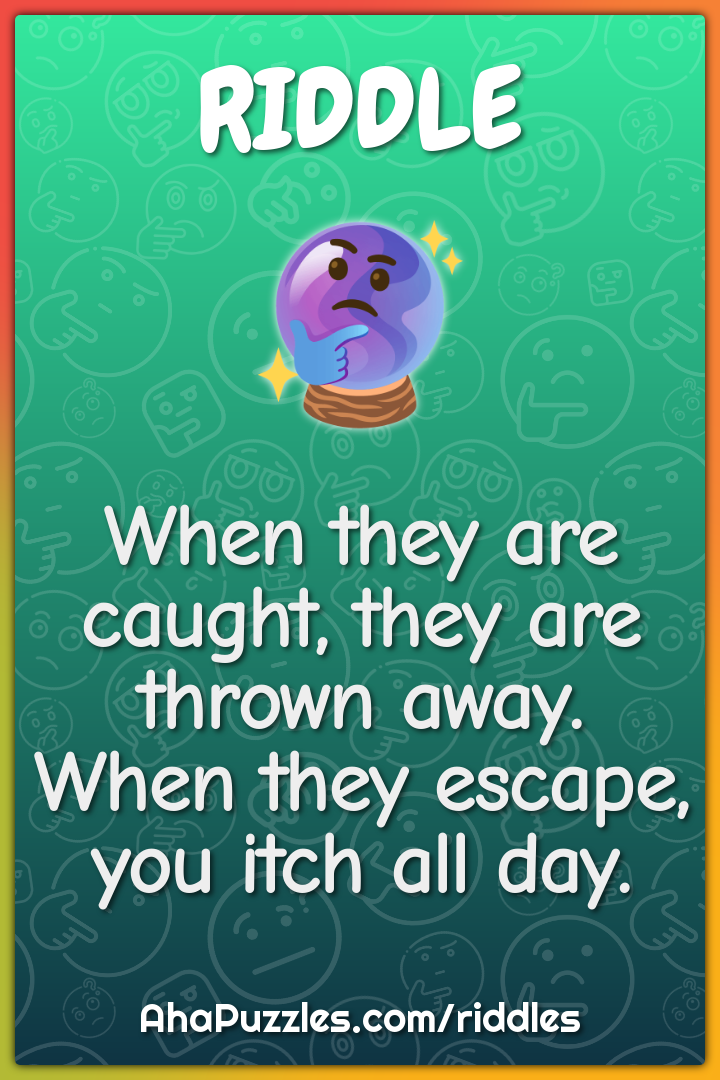 When they are caught, they are thrown away. When they escape, you itch...