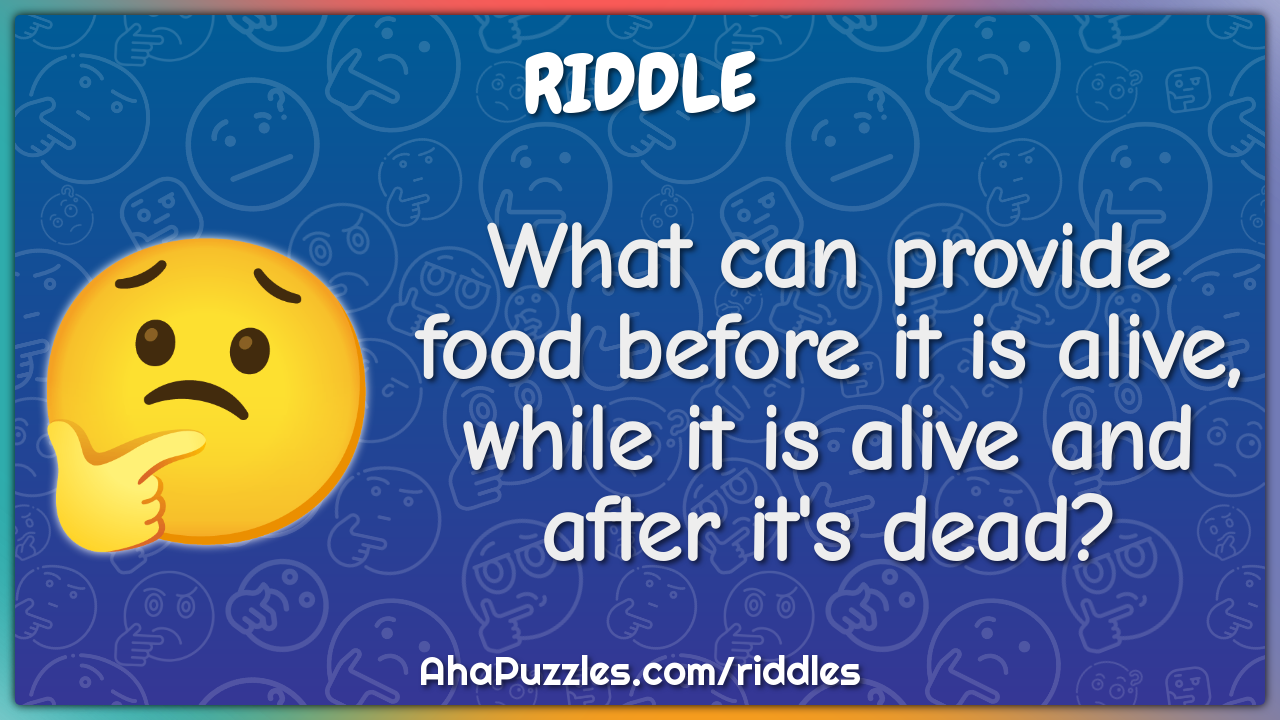 What can provide food before it is alive, while it is alive and after...