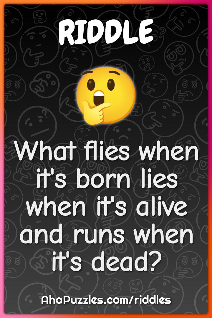 What flies when it's born lies when it's alive and runs when it's...