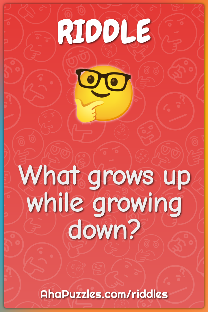 What grows up while growing down?