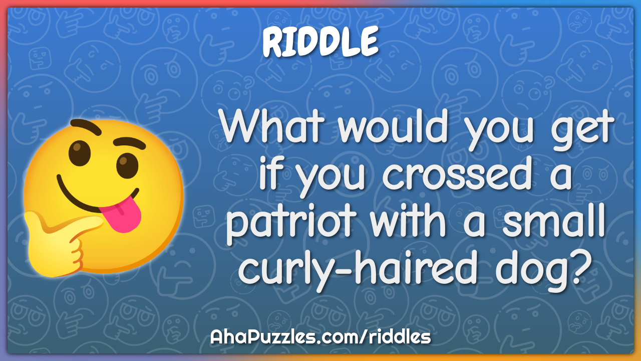 What would you get if you crossed a patriot with a small curly-haired...