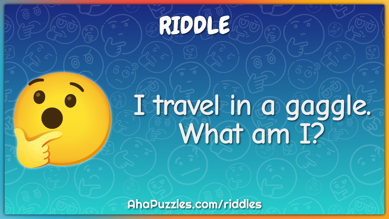 I travel in a gaggle. What am I?
