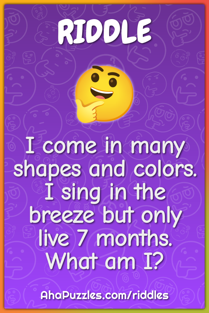 I come in many shapes and colors. I sing in the breeze but only live 7...