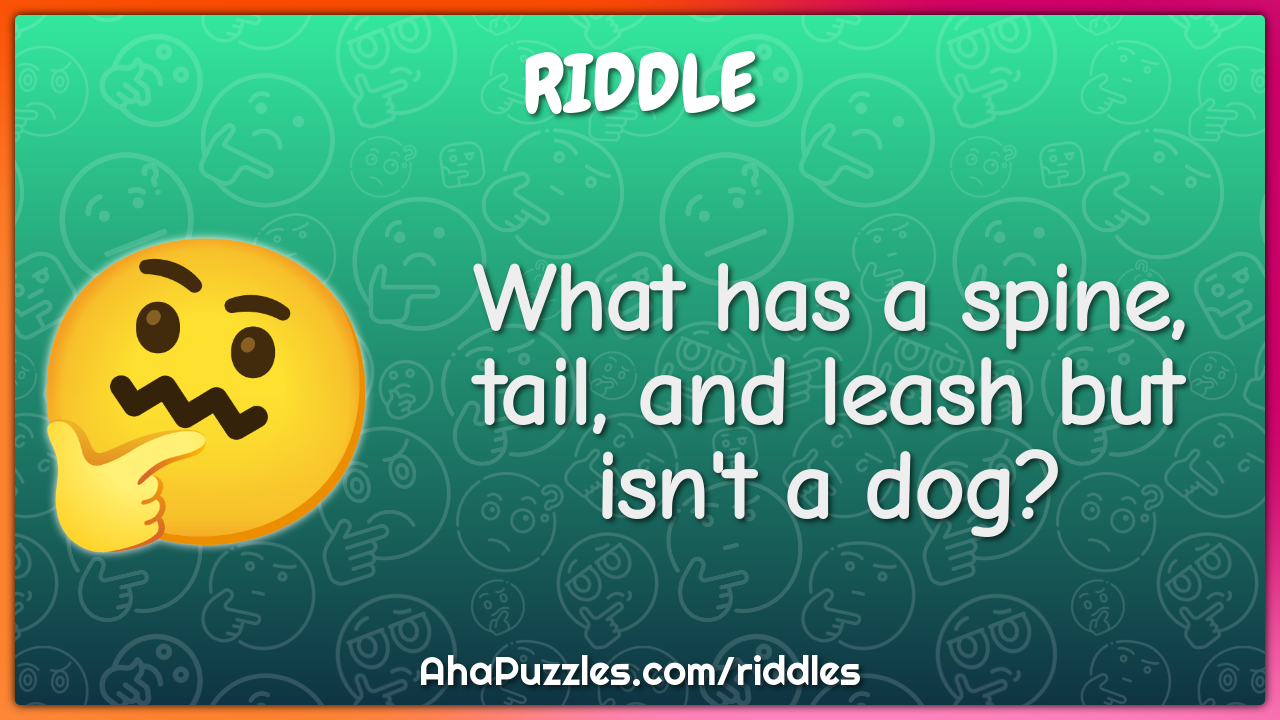 What has a spine, tail, and leash but isn't a dog?