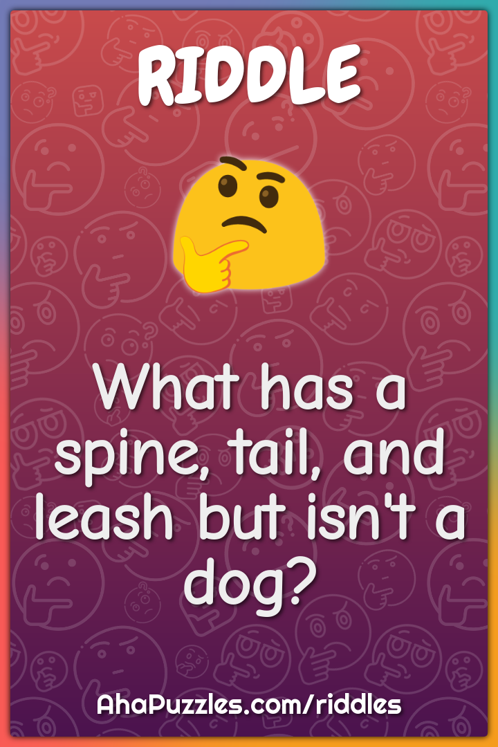 What has a spine, tail, and leash but isn't a dog?