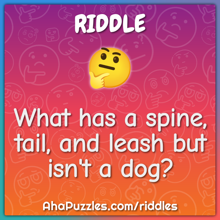 What has a spine, tail, and leash but isn't a dog?