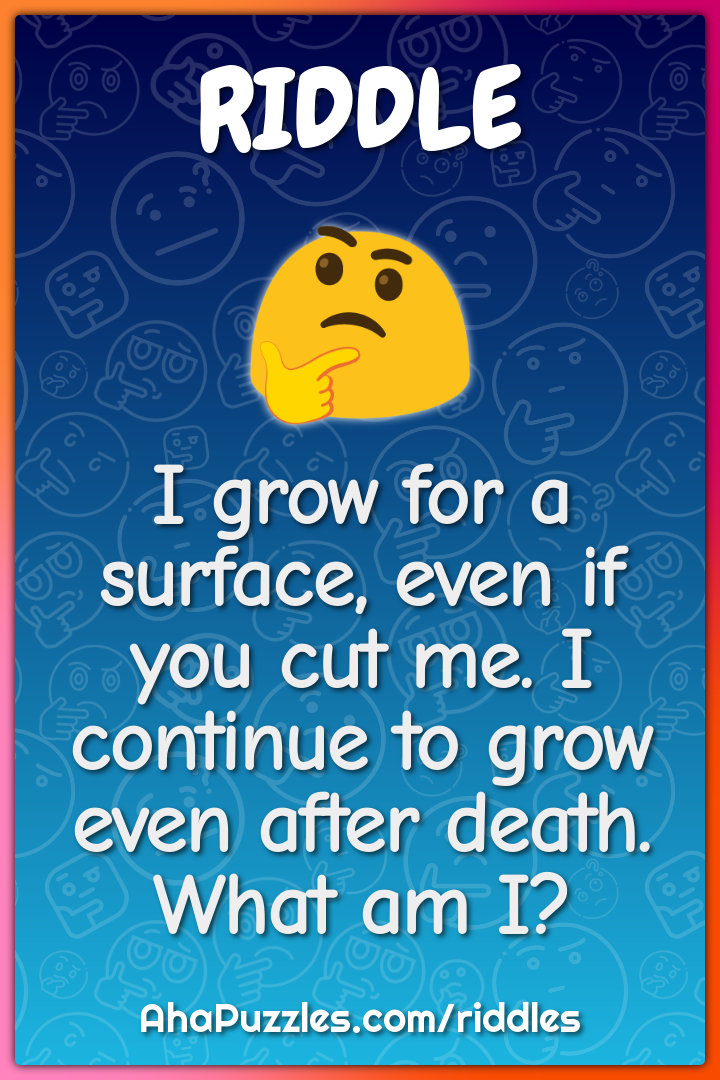 I grow for a surface, even if you cut me. I continue to grow even...