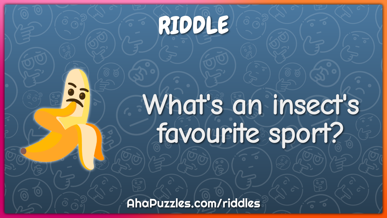 What's an insect's favourite sport?