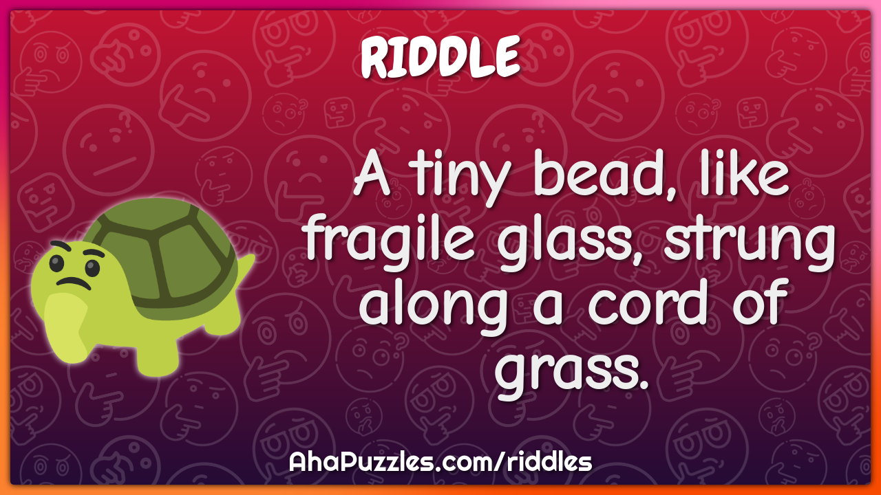 A tiny bead, like fragile glass, strung along a cord of grass.