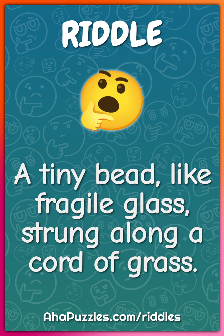 A tiny bead, like fragile glass, strung along a cord of grass.