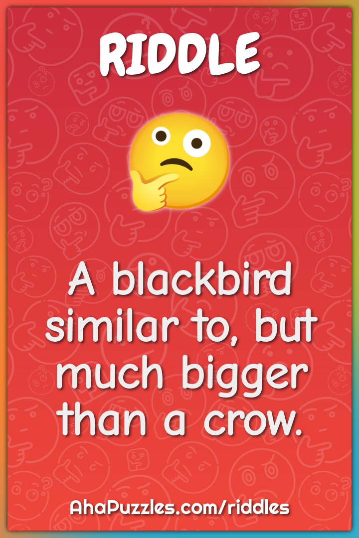 A blackbird similar to, but much bigger than a crow.