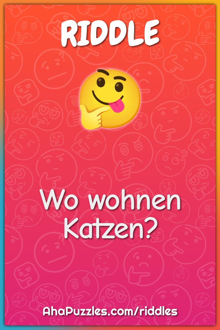 Wo wohnen Katzen?