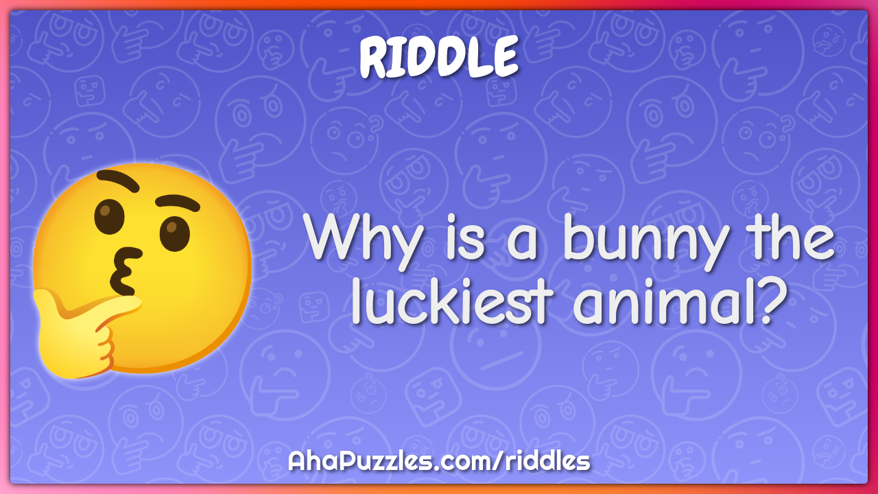 Why is a bunny the luckiest animal?