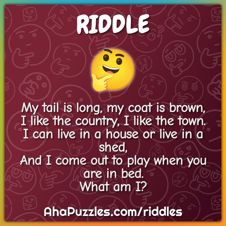 My tail is long, my coat is brown, I like the country, I like the...