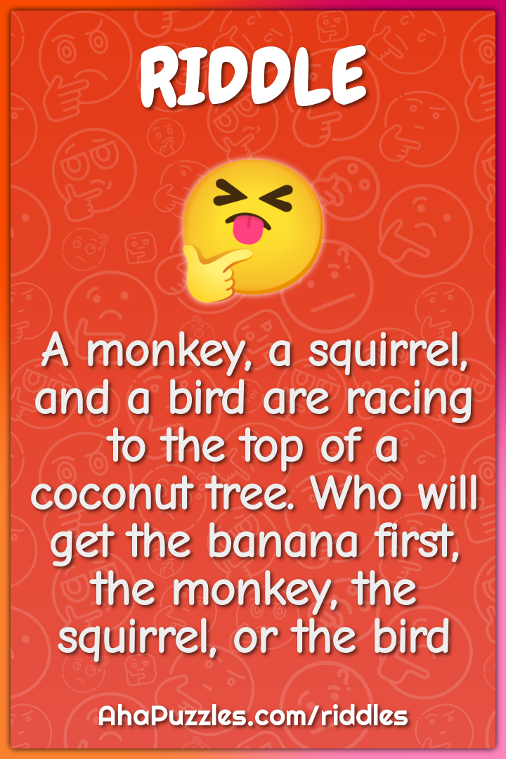 A monkey, a squirrel, and a bird are racing to the top of a coconut...