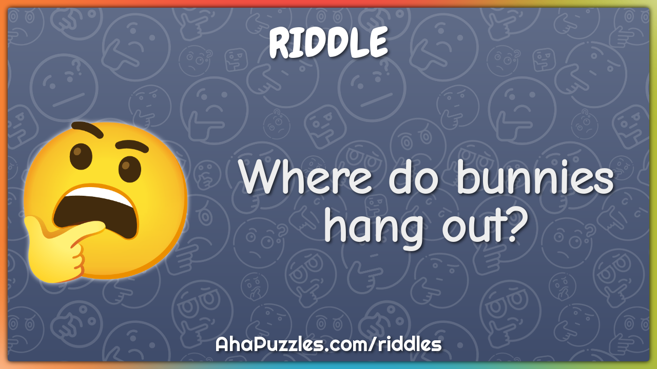 Where do bunnies hang out?