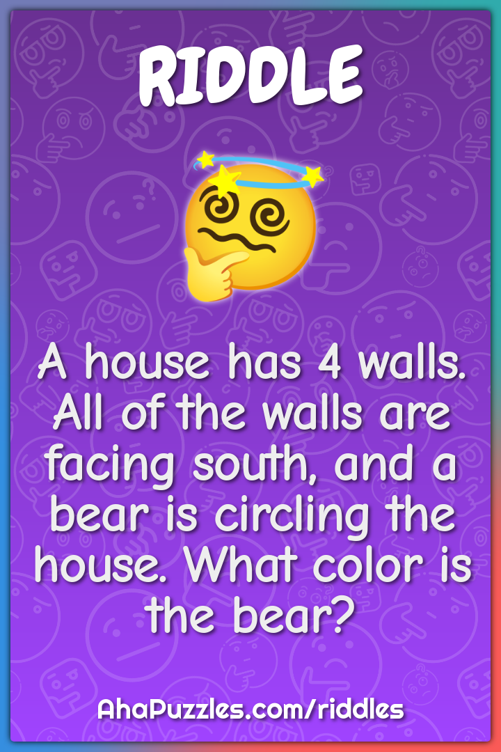 A house has 4 walls. All of the walls are facing south, and a bear is...