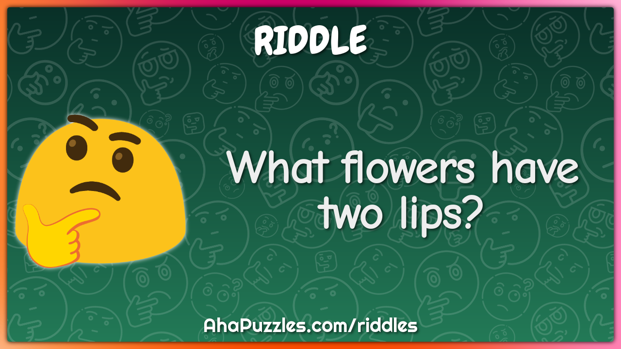 What flowers have two lips?