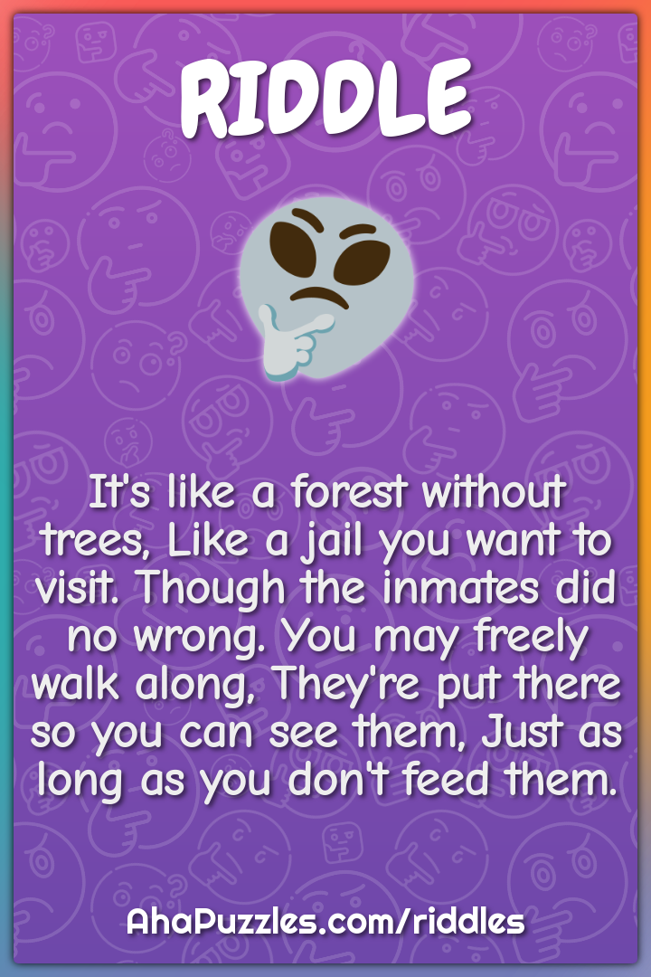 It's like a forest without trees, Like a jail you want to visit....