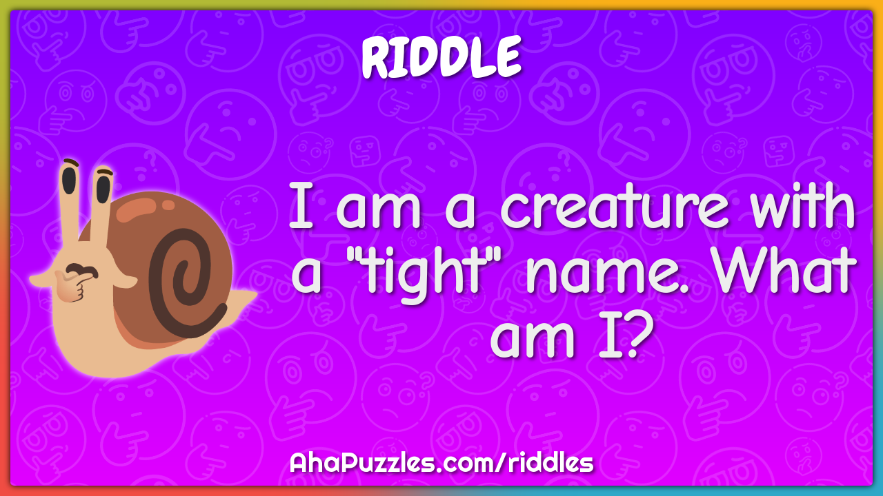 I am a creature with a "tight" name. What am I?