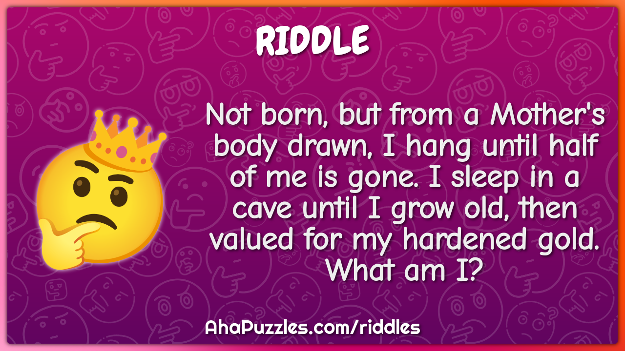 Not born, but from a Mother's body drawn, I hang until half of me is...