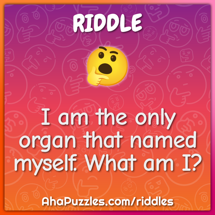 I am the only organ that named myself. What am I?