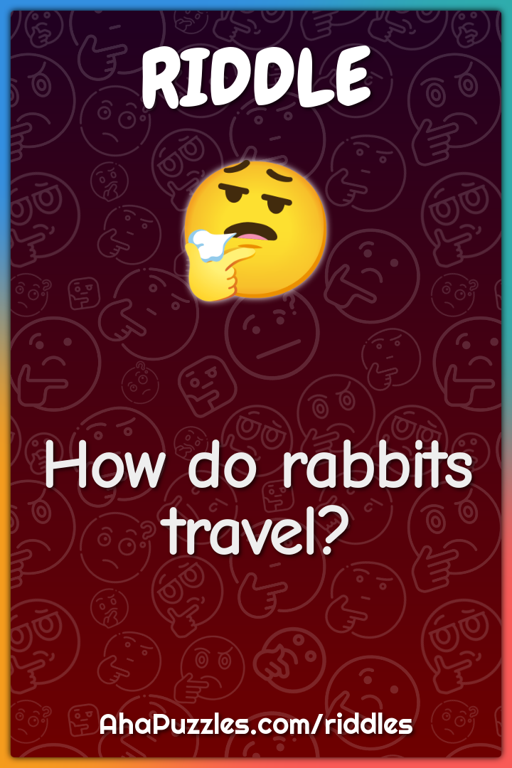 How do rabbits travel?
