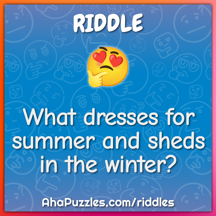 What dresses for summer and sheds in the winter?