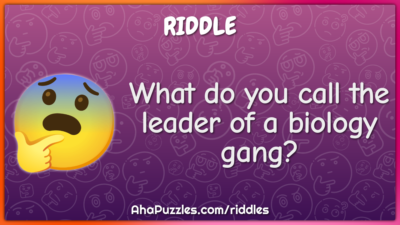 What do you call the leader of a biology gang?