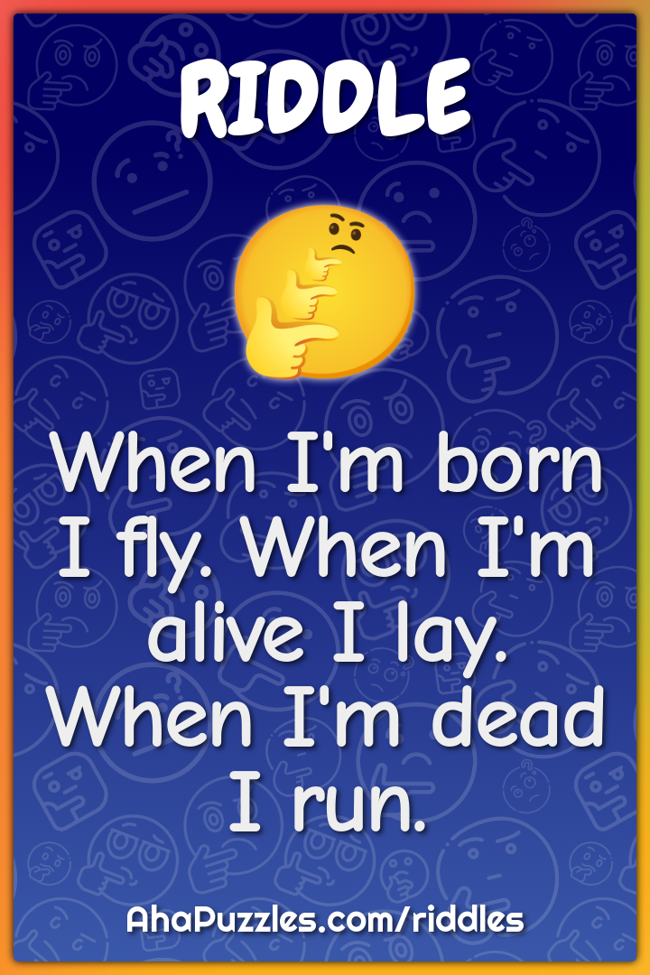 When I'm born I fly. When I'm alive I lay. When I'm dead I run.