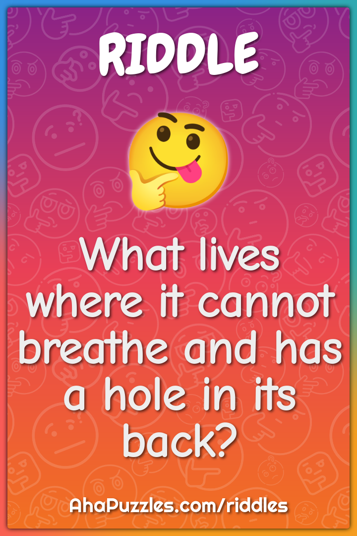 What lives where it cannot breathe and has a hole in its back?