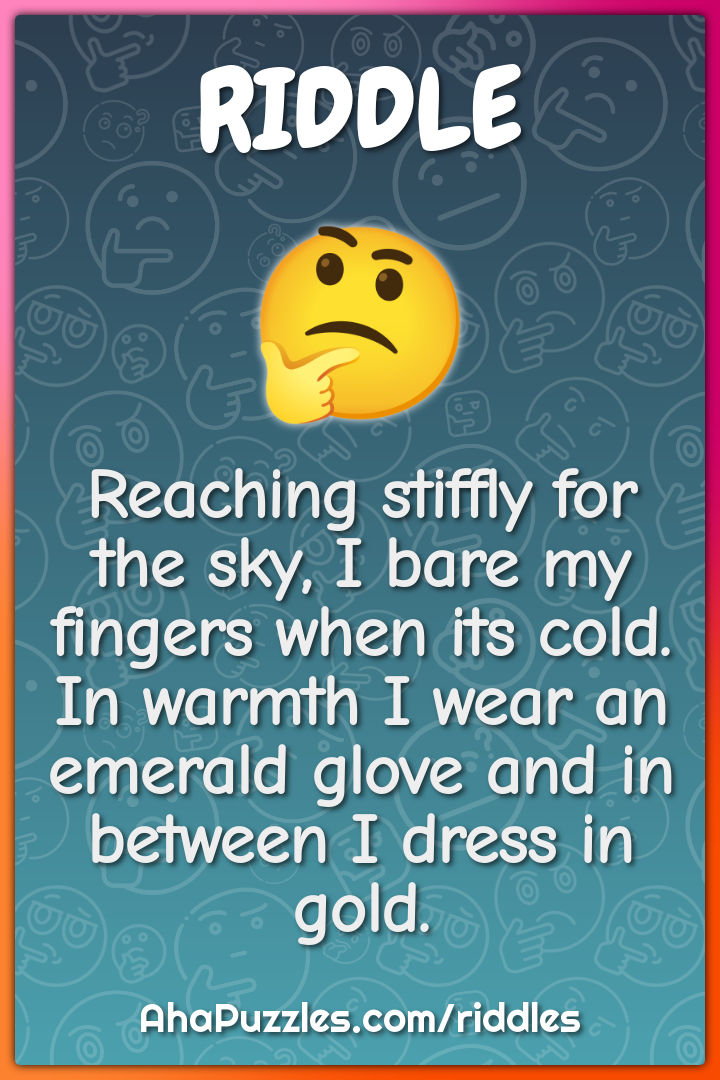Reaching stiffly for the sky, I bare my fingers when its cold. In...