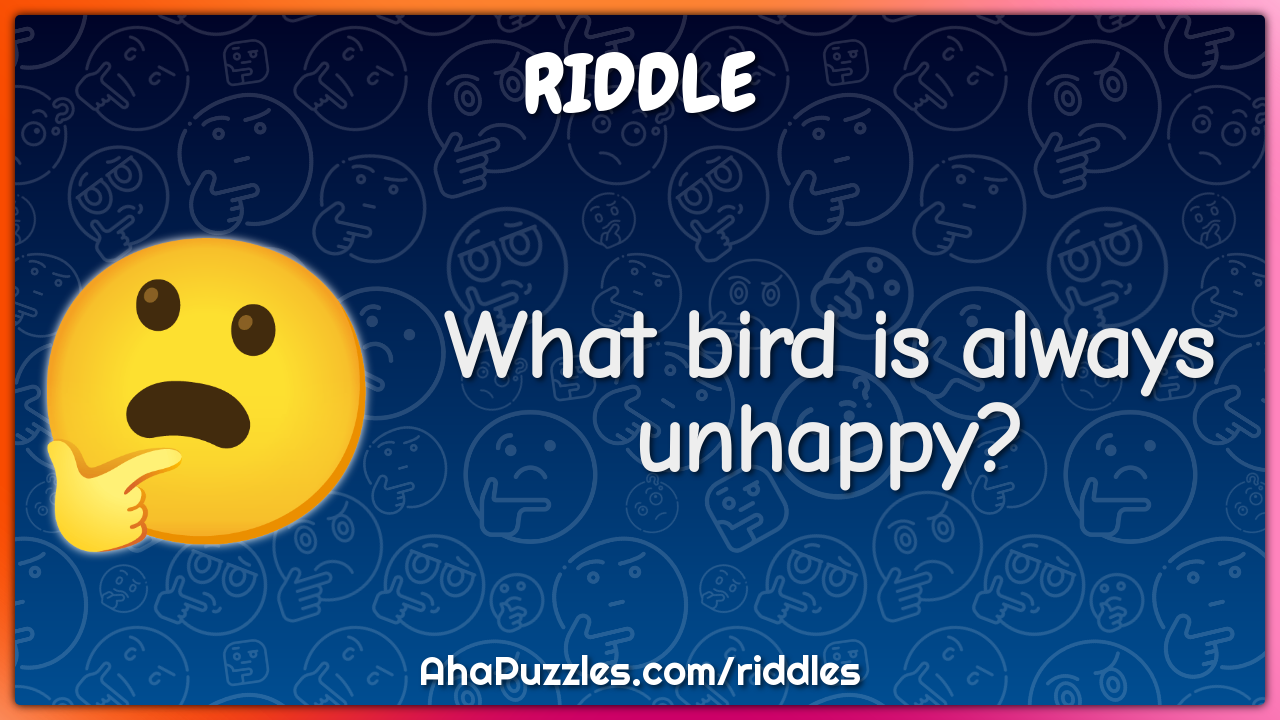 What bird is always unhappy?