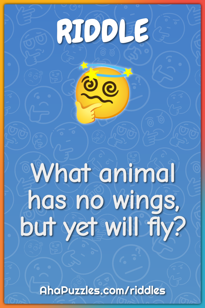 What animal has no wings, but yet will fly? - Riddle & Answer - Aha! Puzzles