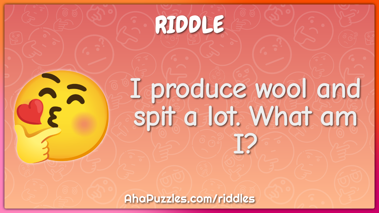 I produce wool and spit a lot. What am I?