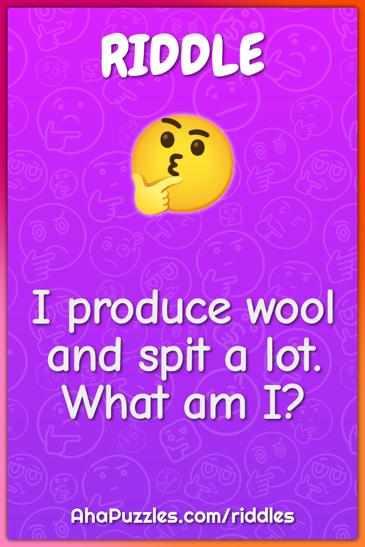 I produce wool and spit a lot. What am I?