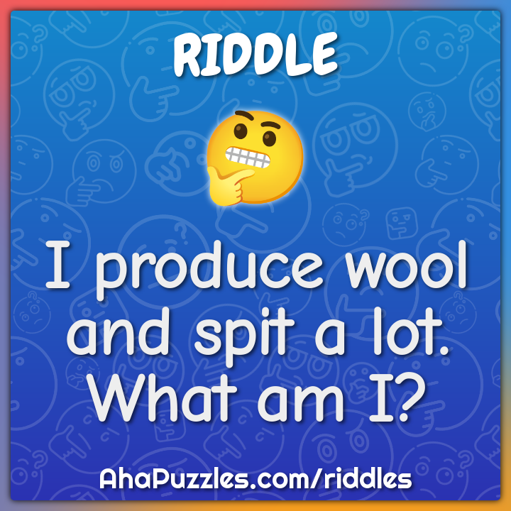 I produce wool and spit a lot. What am I?