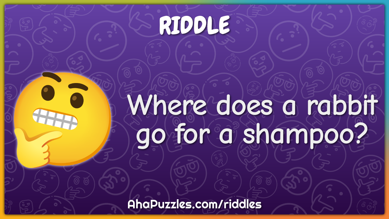 Where does a rabbit go for a shampoo?