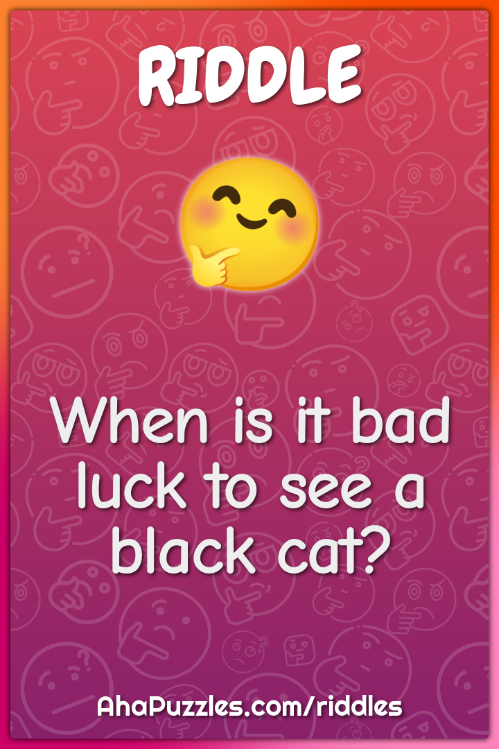 When is it bad luck to see a black cat?