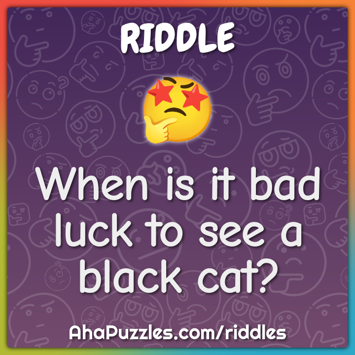 When is it bad luck to see a black cat?