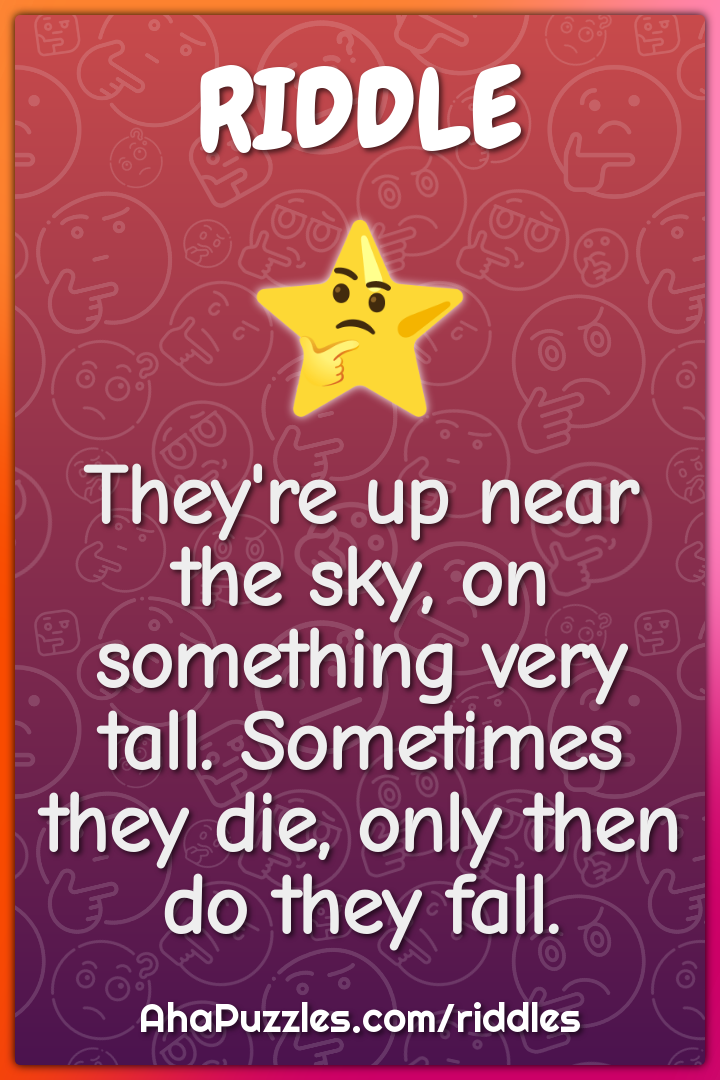 They're up near the sky, on something very tall. Sometimes they die,...