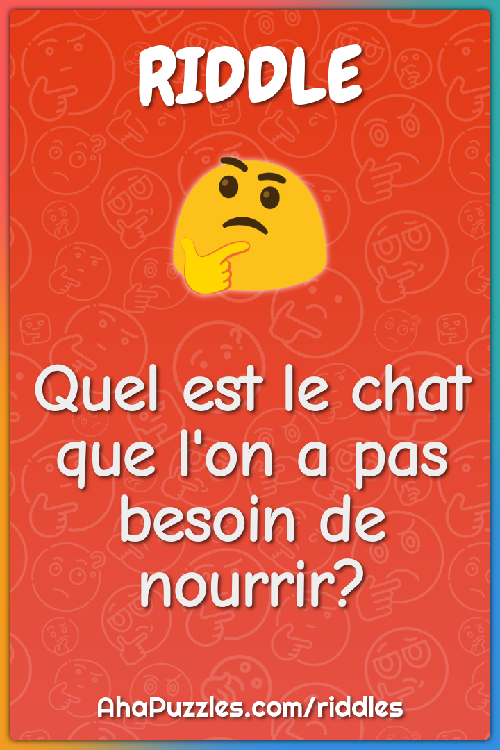 Quel est le chat que l'on a pas besoin de nourrir?