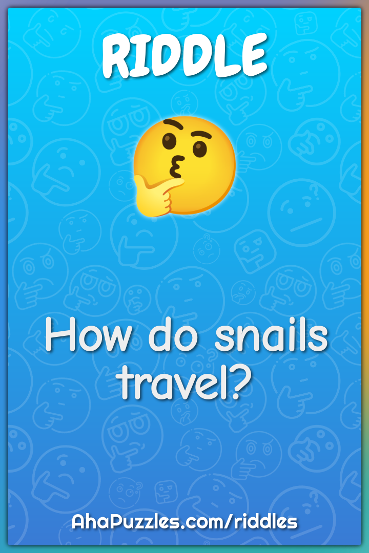 How do snails travel?